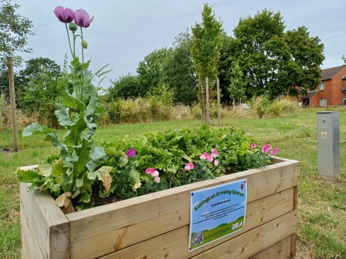 Planter (1)